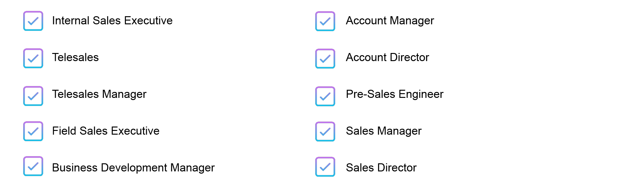 List of sales roles including internal sales executive, telesales, telesales manager, field sales executive, business development manager, account manager, account director, pre-sales engineer, sales manager and sales director